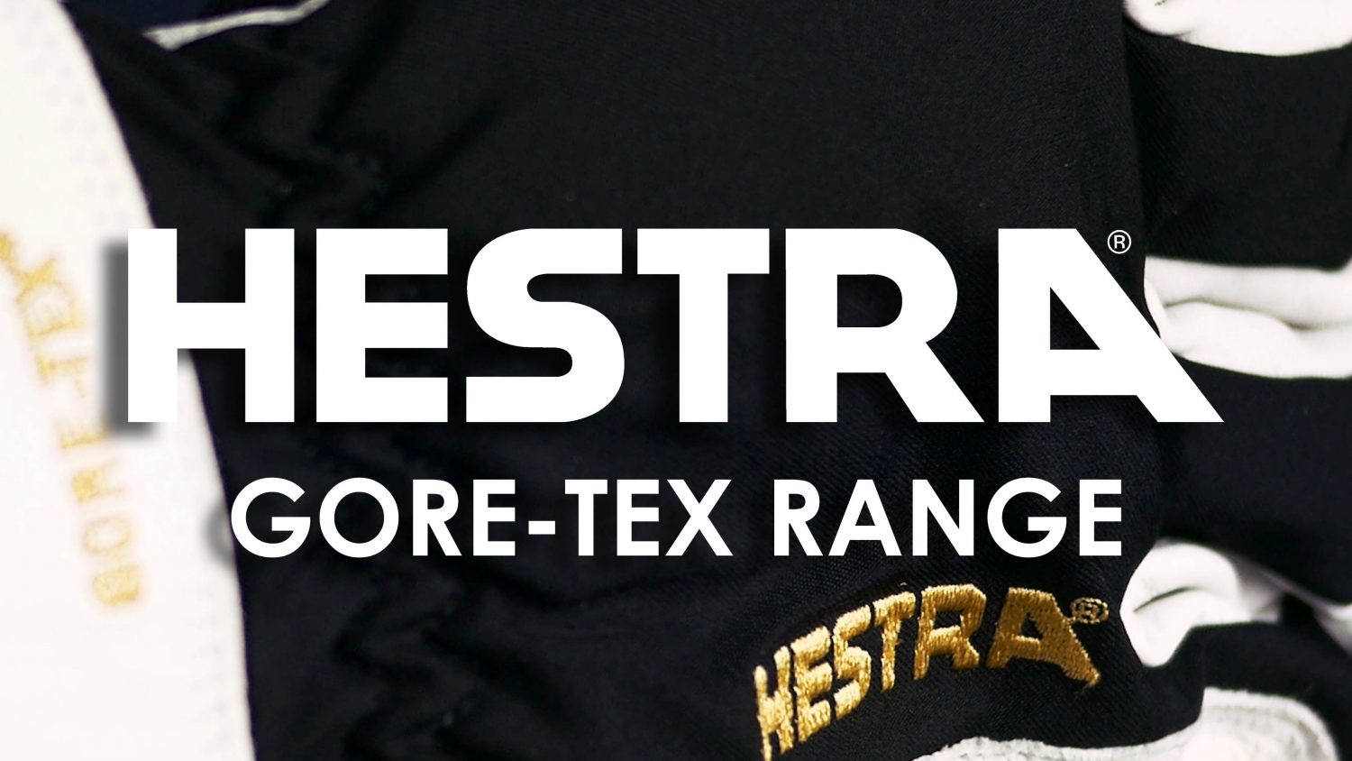 Hestra GORE-TEX Range